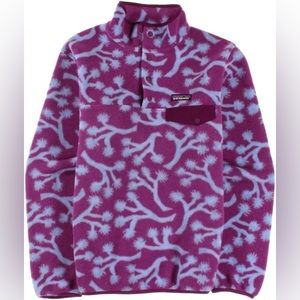 Patagonia Synchilla Pullover Sweater